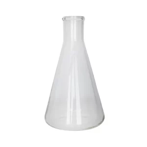 Clear Glass Flask for Plant and Décor Display