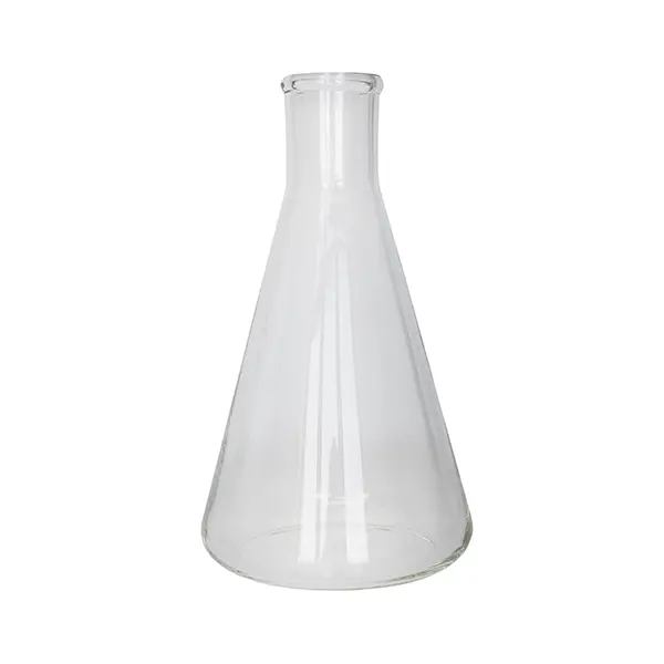 Clear Glass Flask for Plant and Décor Display